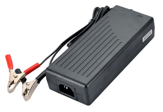 Punjac suhih akumulatora A100-12v